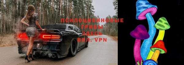 амфетамин Богданович